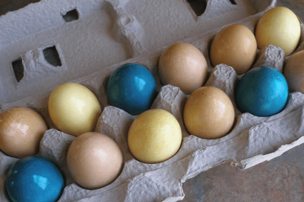 02-dyed-eggs-thyhandhathprovided